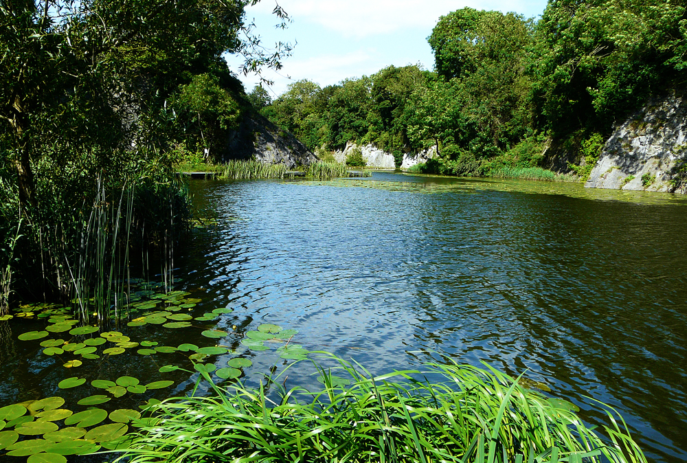 The nature area at the north end of the Lake